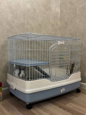 Кролик с клеткой