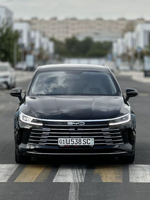 Byd chazor Gibrid 2024yil