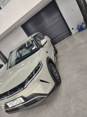 Byd yuan ap 2 pazisa