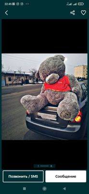 Teddy,teddylar ayiqchalar