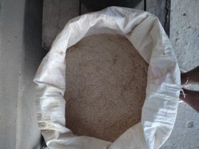 Bugʻdoy kepak sotiladi