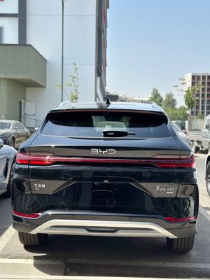 Byd chempion smart