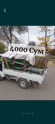 Metalom olamiz yuqori narxlarda