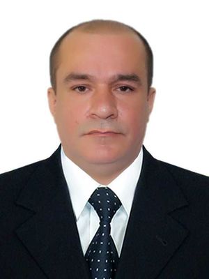 Адвокат по экономическим и гражданским делам, с многолетним опытом.