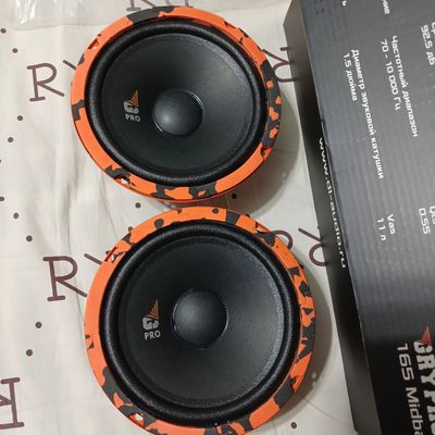 Dl AUDIO Gryphon165 pro midbass