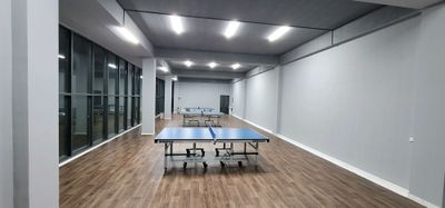 stol tennis , tennis stol . настольные теннис