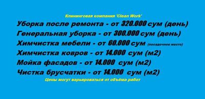 Уборка домов. Химчистка ковров и мебели. Чистка брусчатки. Мойка фасад