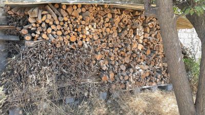 Продаю срочно Сухие фруктовые дрова+ сухие доски, панели(для дров)