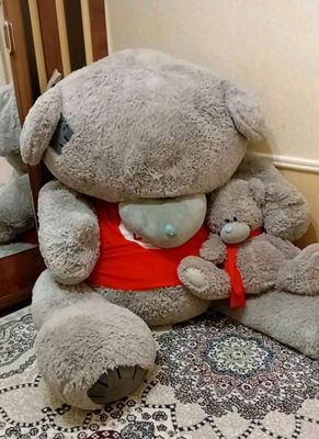 katta ayiq teddy