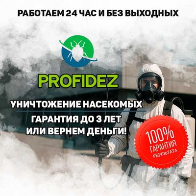 Dezinfeksiya - Дезинфекция - Dezinfekiya - клоп klapa - tarakan Dez-4