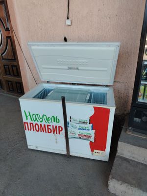 Artel muzlatkich