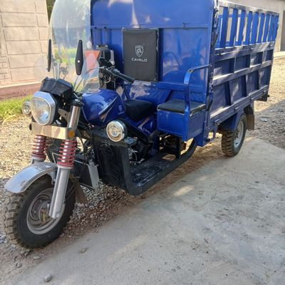 Moto muraviy 2 tonnalik