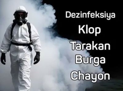 Klapa va tarakanlarga qarshi dezinfeksia xizmati