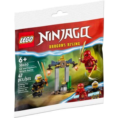 Lego polybag 30650