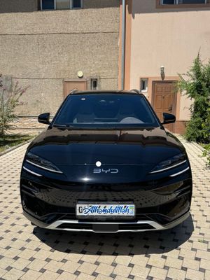 BYD Chimpiyon 605 Full
