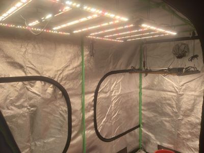 growbox , палатка для выращивания растений
