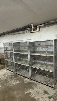 Кафаслар дублонка сотилади