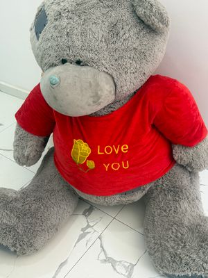 Teddy sotiladi srochna