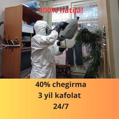 Дезинфекция от вредителей дезинсекция dizinfeksiya dezinfeksiya klapa