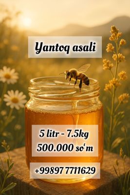 Шифобахш тоза янтоқ асали