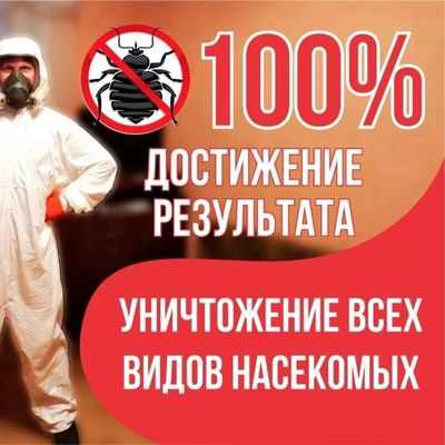 Шок цены дезинфекция от клопов тараканы муравьи dezinfeksiya klapa