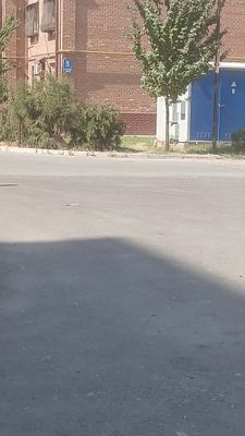Qushbegi tekstil Opshejitya ijaraga yakkasaroy.Rasmi yoq