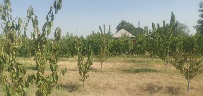 Продаю дачу 30 соток