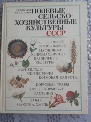 Журнал цветоводство