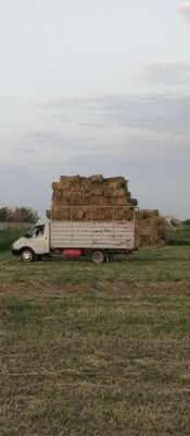 Газель бортовой.