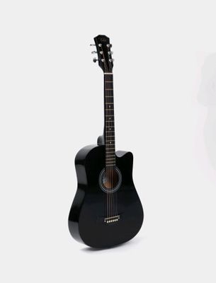 Akustik gitara Full Flaght
