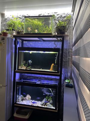 Akvariumlar sotiladi 3dona 1ta 100 2ta 130 litr barcha aksessuarlari b