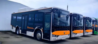 Городские автобусы ASIASTAR!