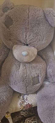 teddy ayiqcha bor holati yaxshi