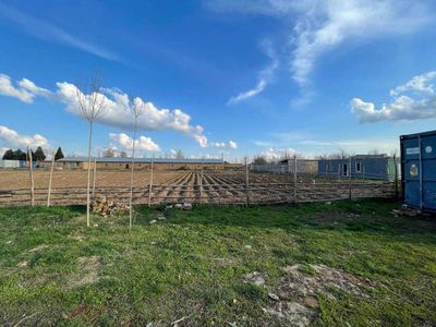 Продаётся 5 гектаров Земли в Янгиюуль