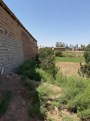 Qarshi shahar Tatu instituti tarafda joylashgan 10sotiq yer sotiladi