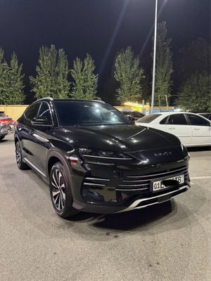 BYD chempion GIBRIT FULl