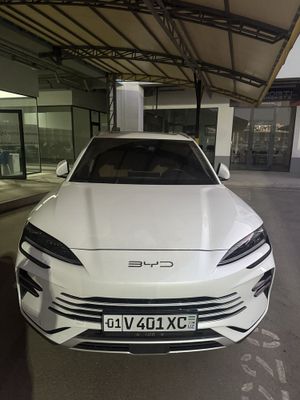 Byd Champion Gibrit