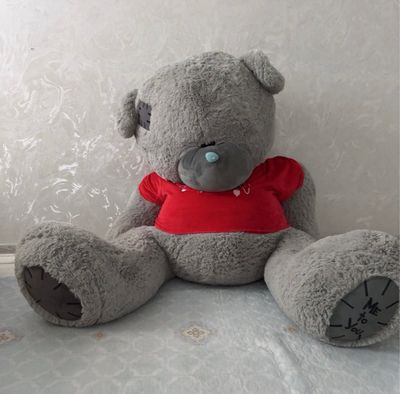 Teddy kattasi dan bitta kichkinasi xolati yangi