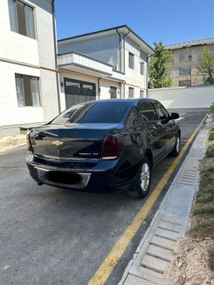 Cobalt 4 позиция darkmoon blue