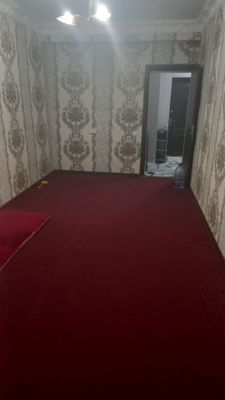 Qashqadaryolik ayol-qizlar uchun arzon kvartira