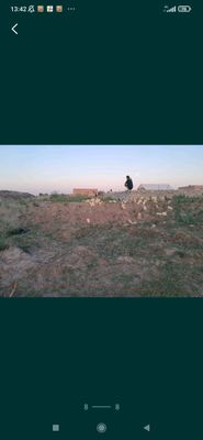 4 soʻtik fundament qilingan joy oʻrni sotiladi