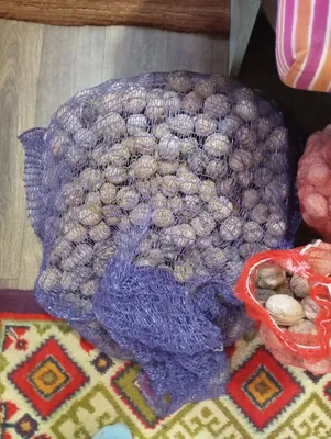 Орехи грецкие Чирчик