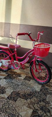 Prinsessa elza velosipedi sotiladi