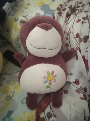 ayoqcha