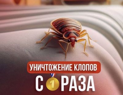 Дезинфекция Dezinfeksiya