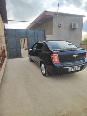 Cobilt stayl 2023ga 2024