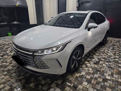 Byd chazor flagship
