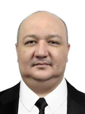 Гид-переводчик японского языка