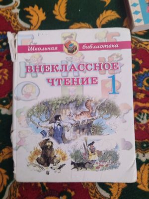 Книги, Внекласное чтение