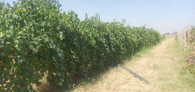 Продам Дачу 30 соток